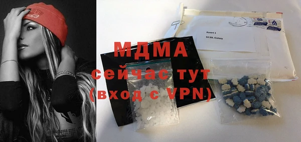 индика Алексин