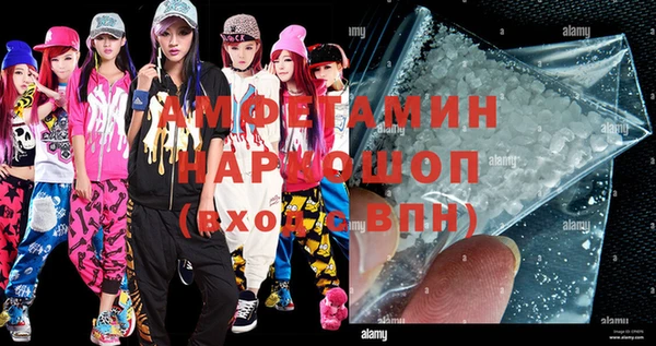 индика Алексин